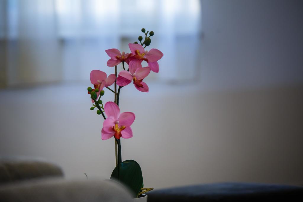 Foric Apartments With Outdoor Heated Pool Rab Town Ngoại thất bức ảnh